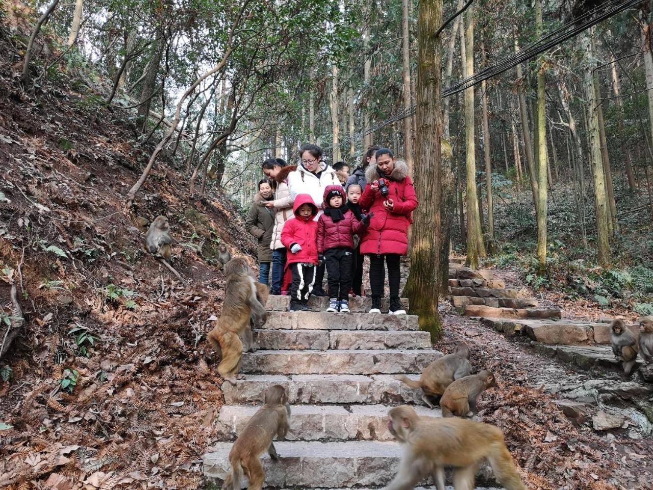 Zhangjiajie National Park Yuelu Homestay Bagian luar foto