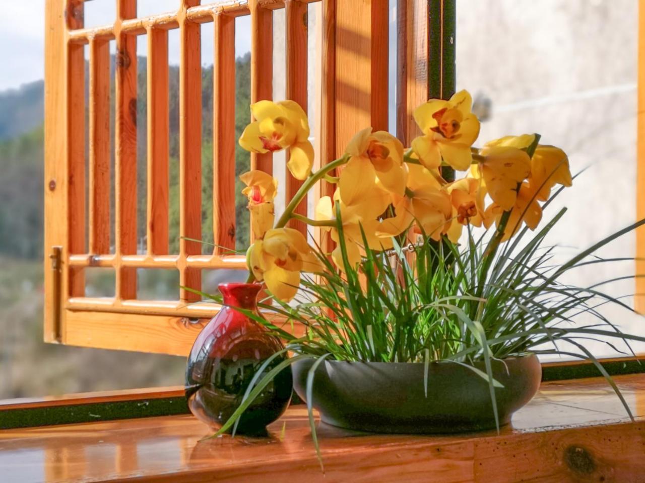 Zhangjiajie National Park Yuelu Homestay Bagian luar foto
